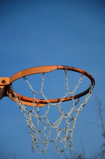 AYX GAMING-NBA球员体能训练计划设计与效果评估，nba球员的体能训练